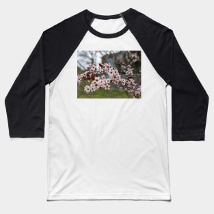 Cherry Blossoms 3 Baseball T-Shirt